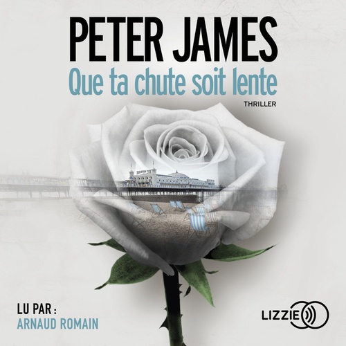 audiobook cover of Que ta chute soit lente, by Peter James