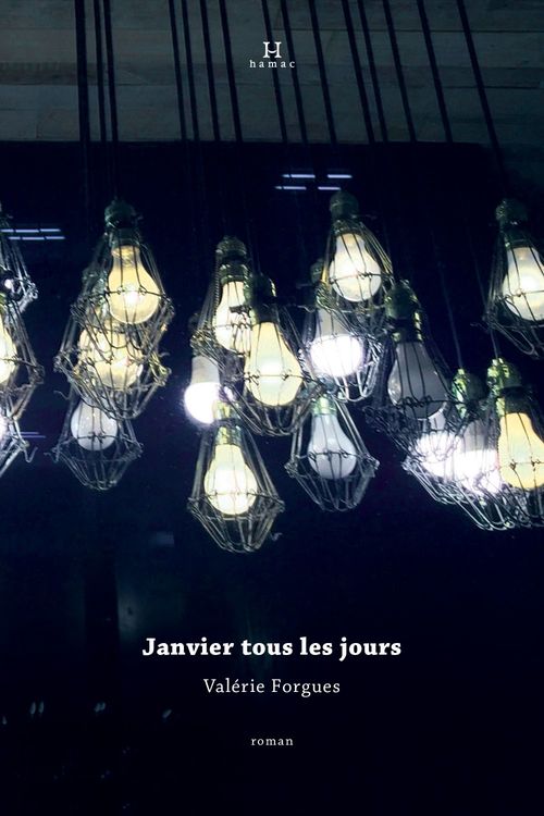 ebook cover of Janvier tous les jours, by Forgues Valerie