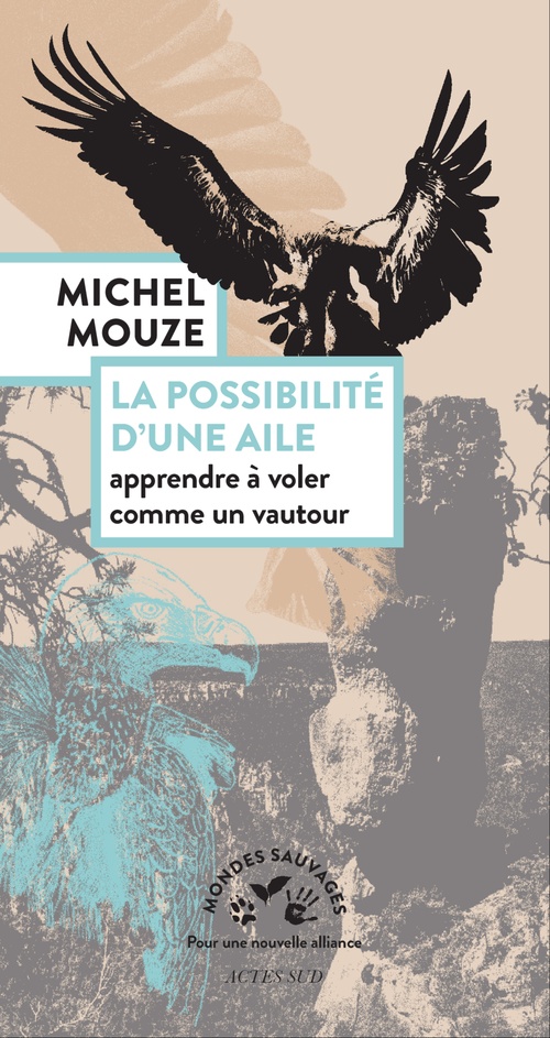 Couverture ebook de La possibilité d'une aile, de Michel Mouze