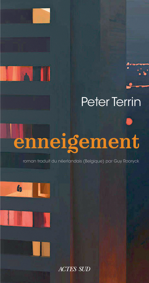 Couverture ebook de Enneigement, de Peter Terrin