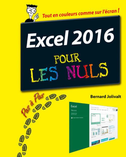 Couverture ebook de Excel 2016 Pas à pas Pour les Nuls, de Bernard Jolivalt