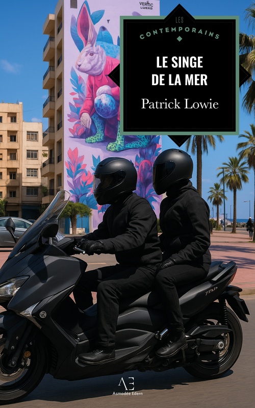 ebook cover of Le Singe de la mer, by Patrick Lowie
