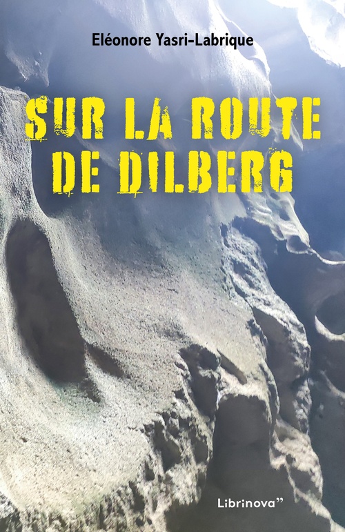 Couverture ebook de Sur la route de Dilberg, de Eleonore Yasri-Labrique