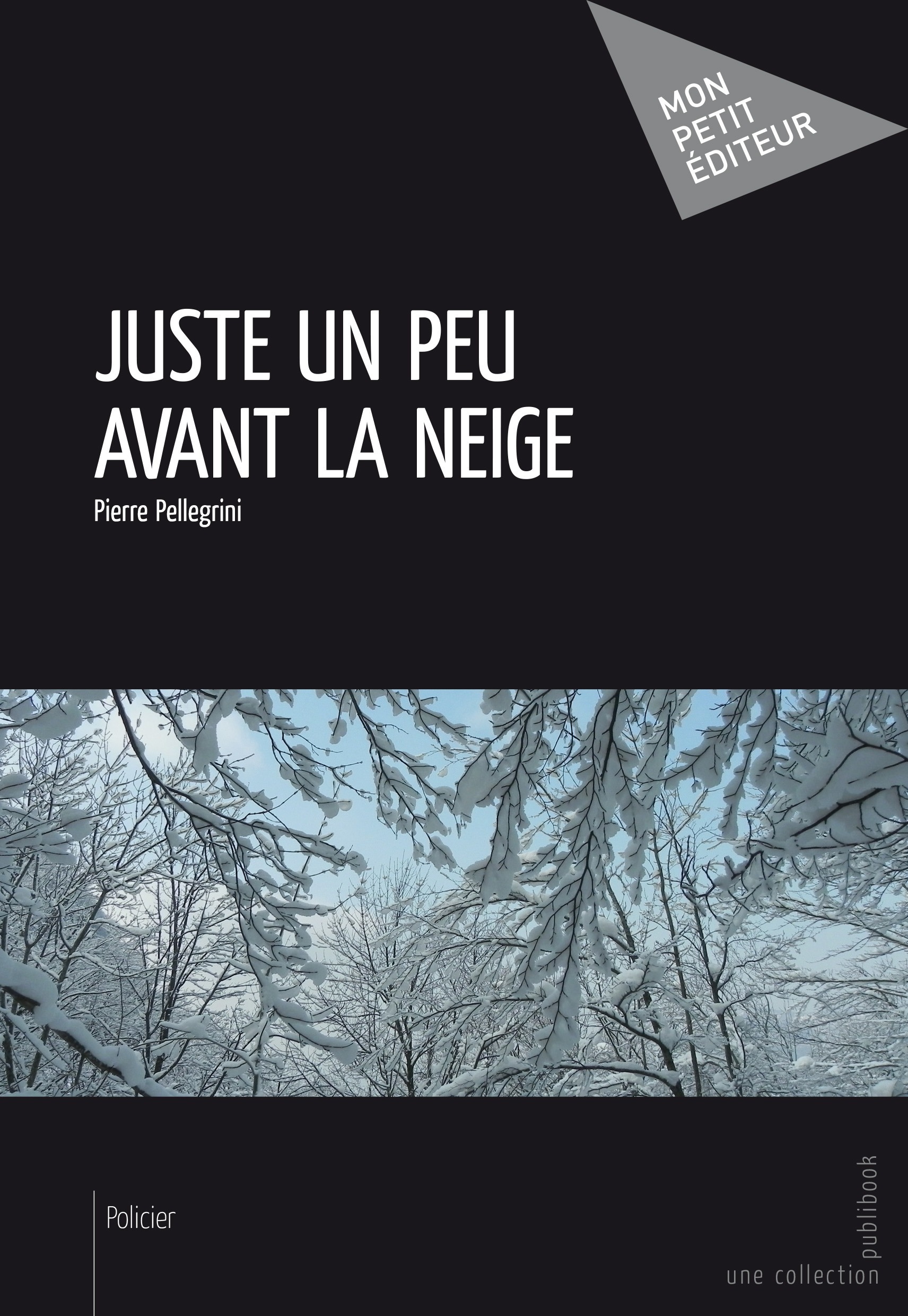 ebook cover of Juste un peu avant la neige, by Pierre Pellegrini