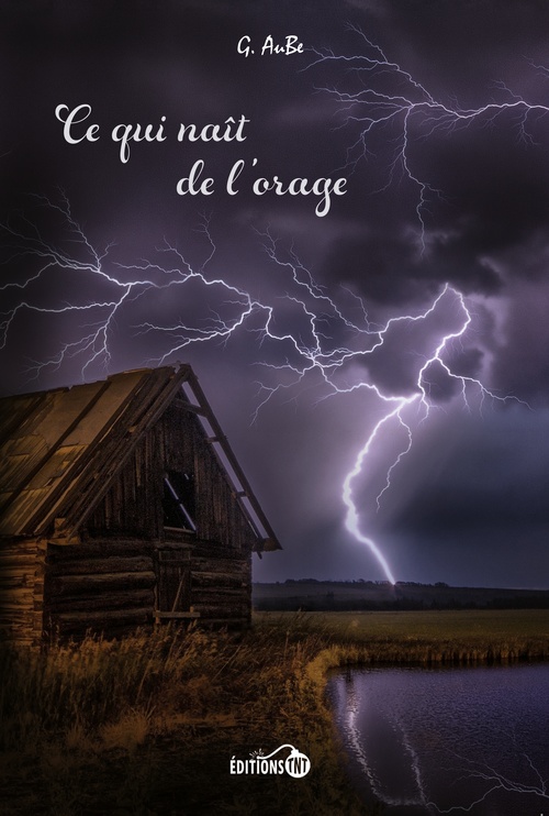ebook cover of Ce qui naît de l'orage, by G. AuBe