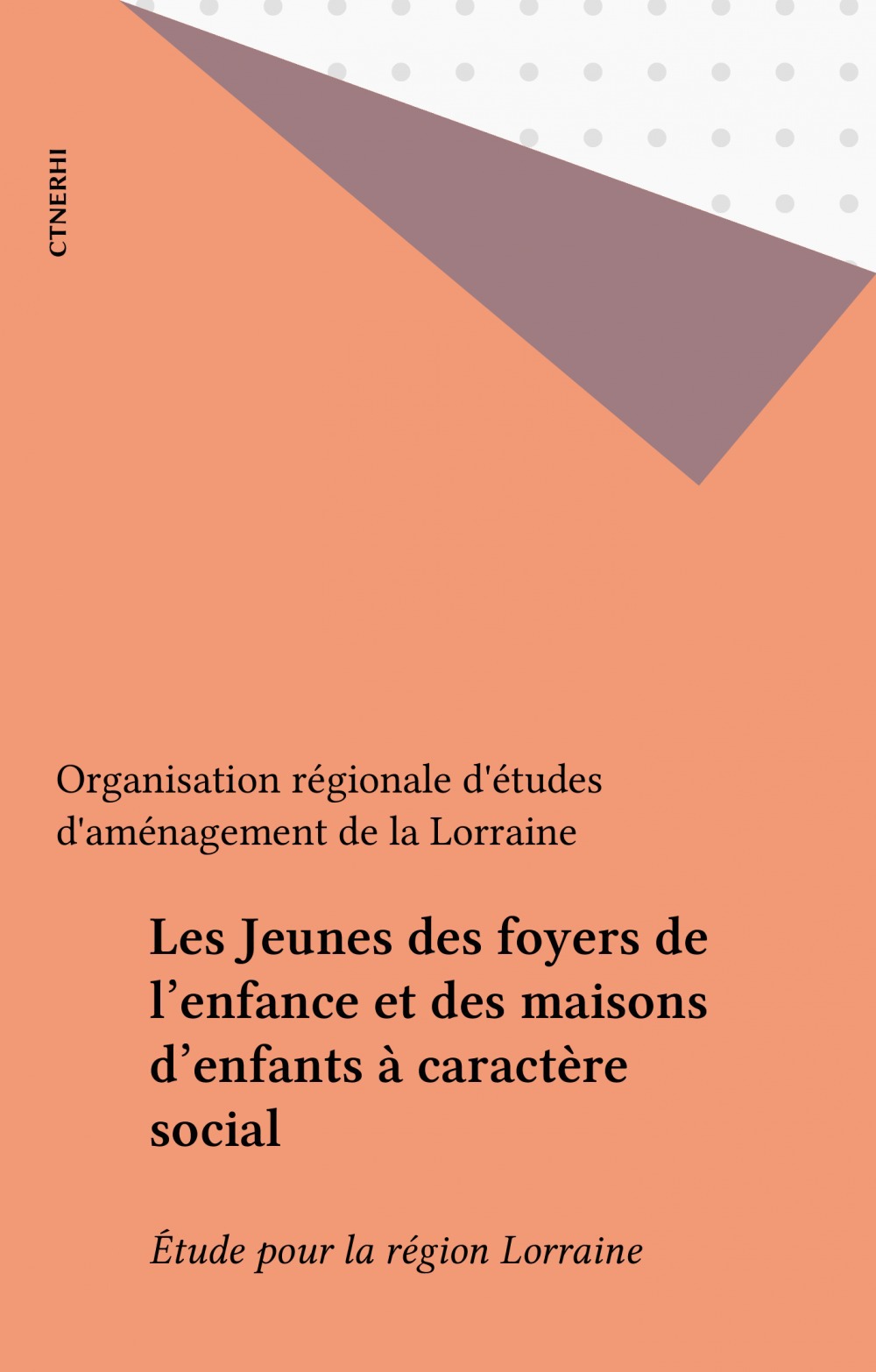 Couverture ebook de Les Jeunes des foyers de l'enfance et des maisons d'enfants à caractère social, de Oream L.