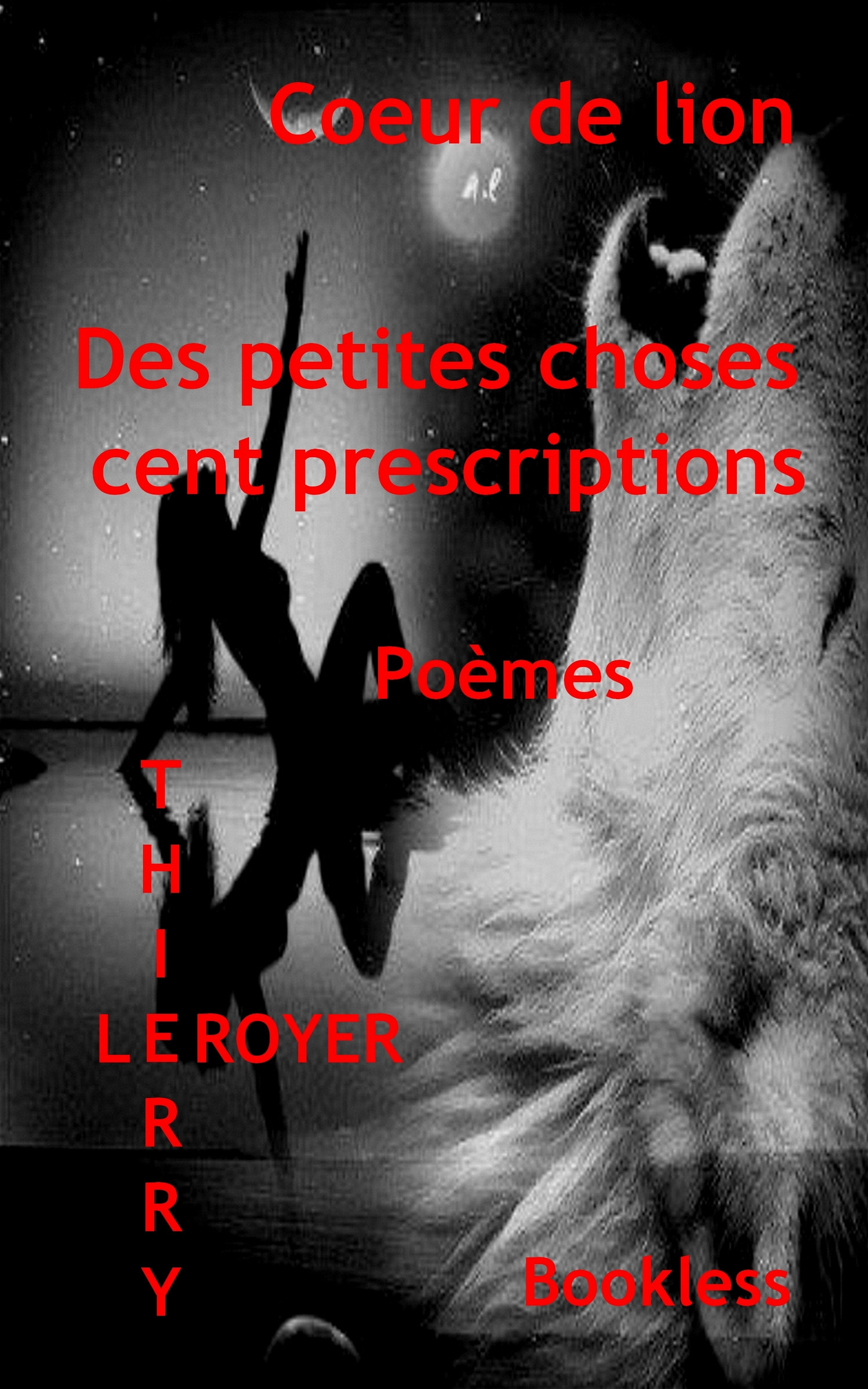 Couverture ebook de Des petites choses cent prescriptions, de Bookless-Editions Thierry Leroyer