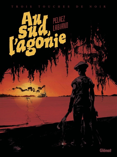 ebook cover of Au Sud, l'Agonie, by Hugues Labiano