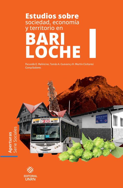 ebook cover of Estudios sobre sociedad, economía y territorio en Bariloche I, by