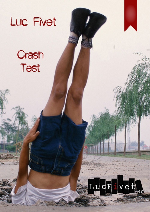 ebook cover of Crash test, by Luc Fivet