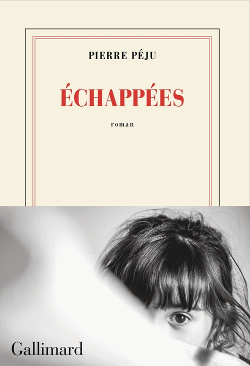 Couverture ebook de Échappées, de Pierre Péju
