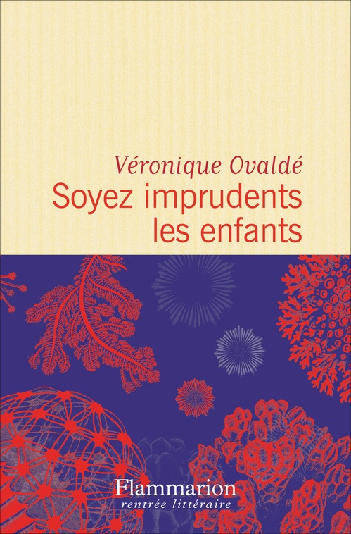 ebook cover of Soyez imprudents les enfants, by Véronique Ovaldé