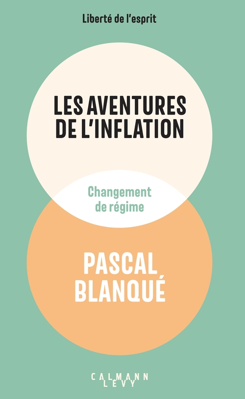 Couverture ebook de Les aventures de l'inflation, de Pascal Blanqué