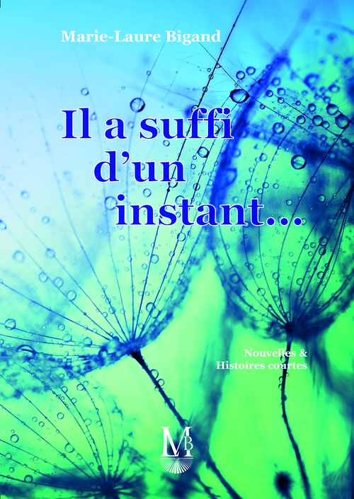ebook cover of Il a suffi d'un instant..., by Marie-Laure Bigand
