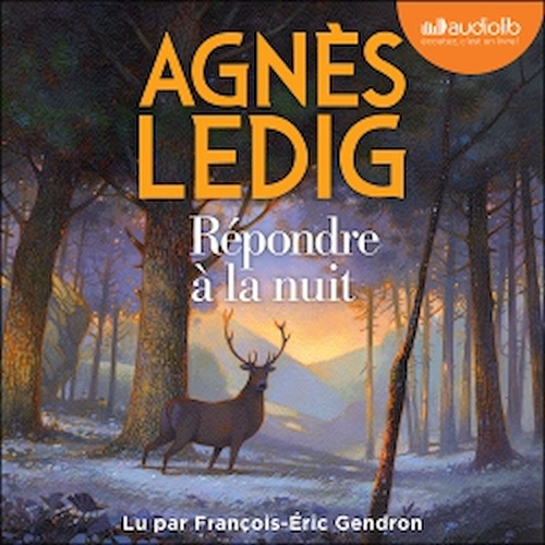 audiobook cover of Répondre à la nuit, by Agnès Ledig
