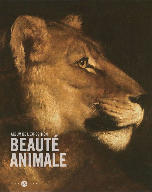 ebook cover of Beauté animale : L´album de l´exposition, by Elise Voisin
