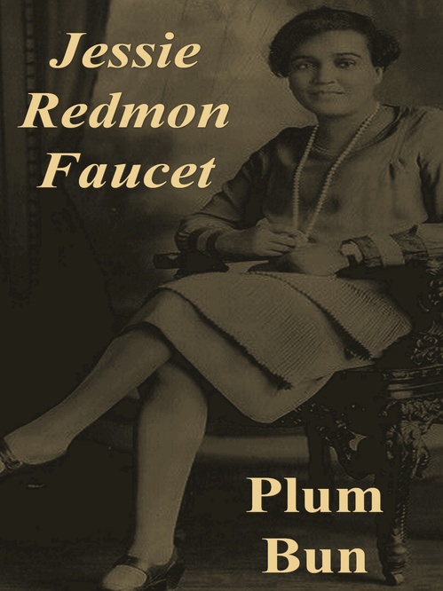 Couverture ebook de Plum Bun: A Novel Without a Moral, de Jessie Redmon Fauset
