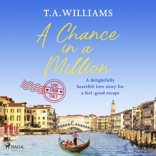 audiobook cover of A Chance in a Million, by T.A. Williams
