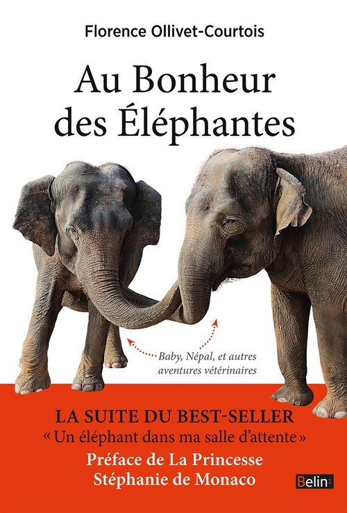 ebook cover of Au bonheur des éléphantes : Baby, Népal et autres aventures vétérinaires, by Florence Ollivet-courtois