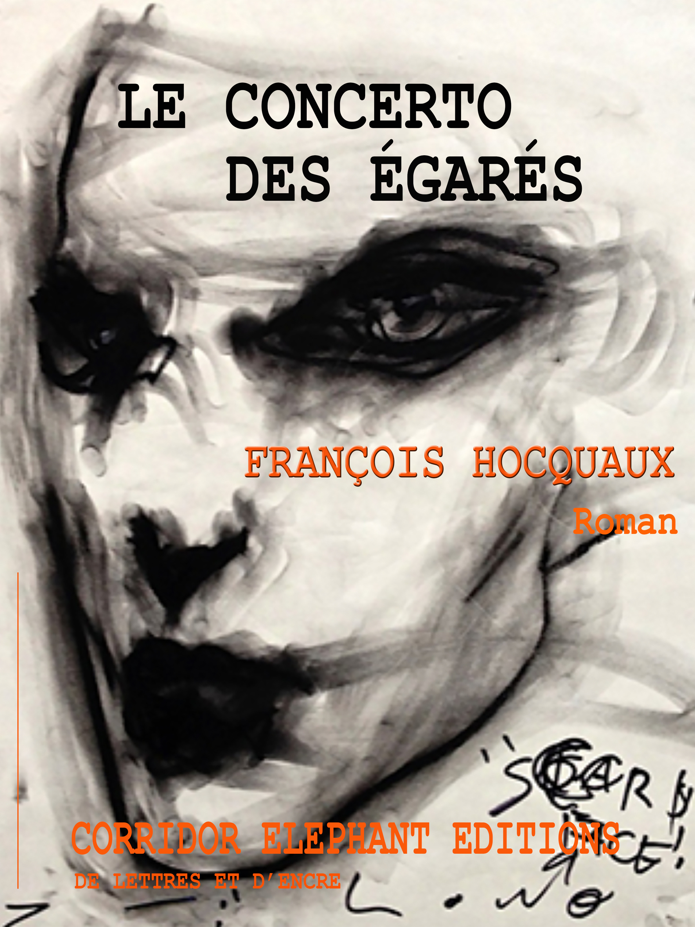 Couverture ebook de Le concerto des égarés, de Francois Hocquaux
