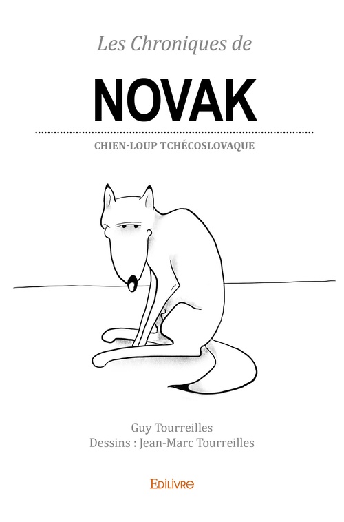 Couverture ebook de Les Chroniques de Novak, de Béatrice Debrèze