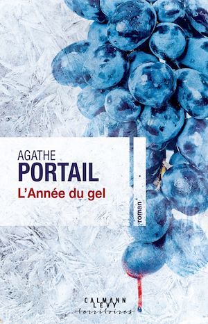 ebook cover of L'année du gel, by Agathe Portail
