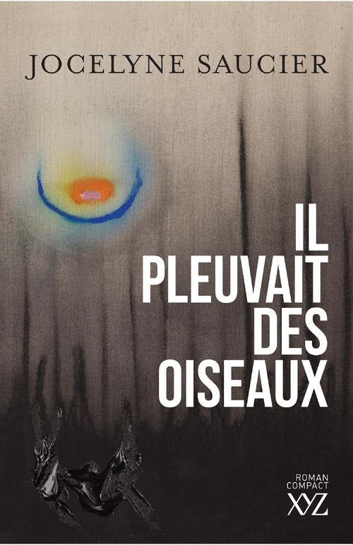 ebook cover of Il pleuvait des oiseaux, by Jocelyne Saucier
