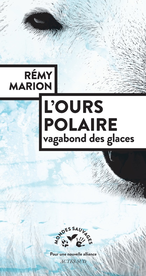 ebook cover of L'ours polaire, vagabond des glaces, by Rémy Marion