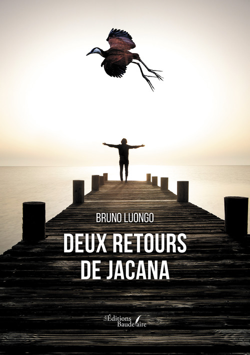 Couverture ebook de Deux retours de Jacana, de Bruno Luongo