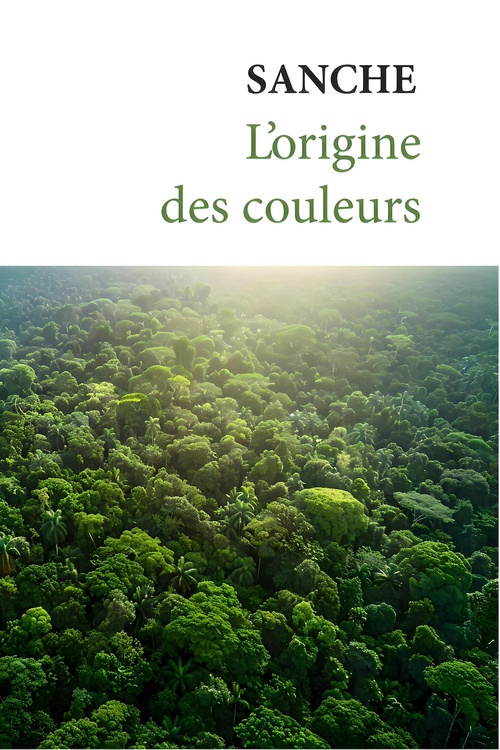 Couverture ebook de L'origine des couleurs, de Sanche