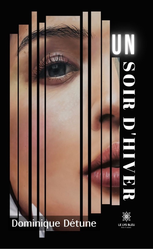 Couverture ebook de Un soir d'hiver, de Dominique Détune