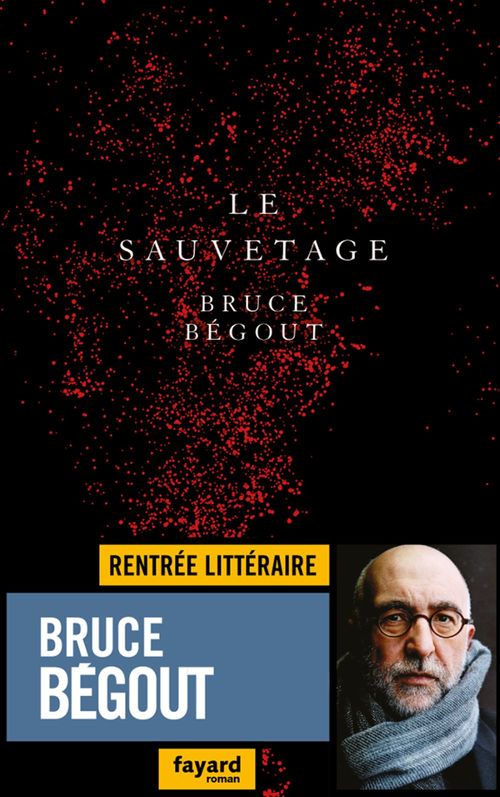 ebook cover of Le sauvetage, by Bruce Bégout