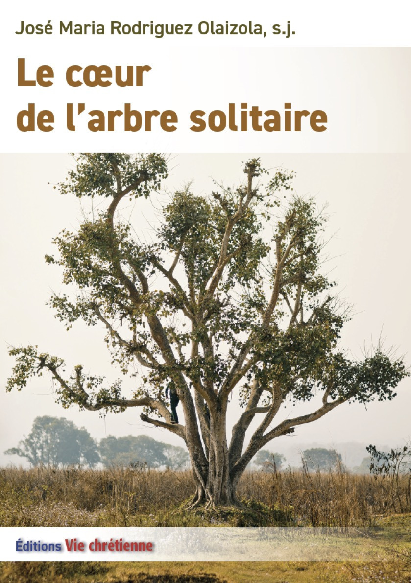 Couverture ebook de Le coeur de l'arbre solitaire, de Olaizola S.J. J M.