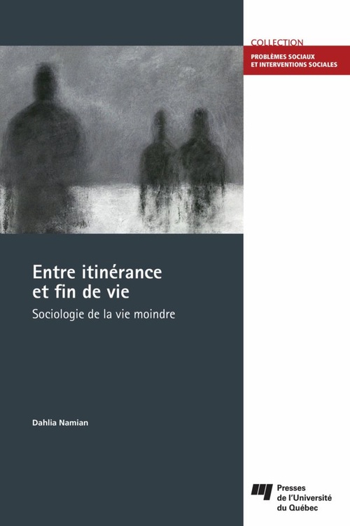 ebook cover of Entre itinérance et fin de vie, by Dahlia Namian