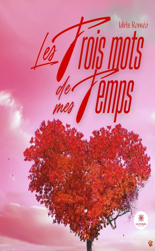 Couverture ebook de Les trois mots de mes temps, de Idris Roméo