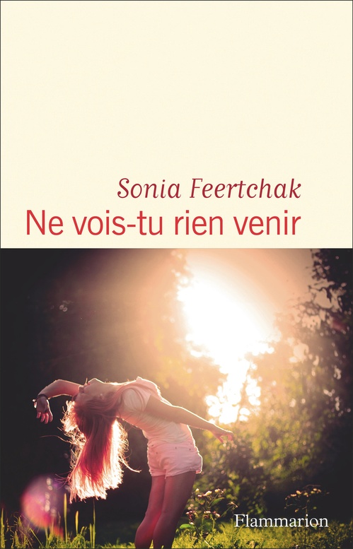 Couverture ebook de Ne vois-tu rien venir, de Sonia Feertchak