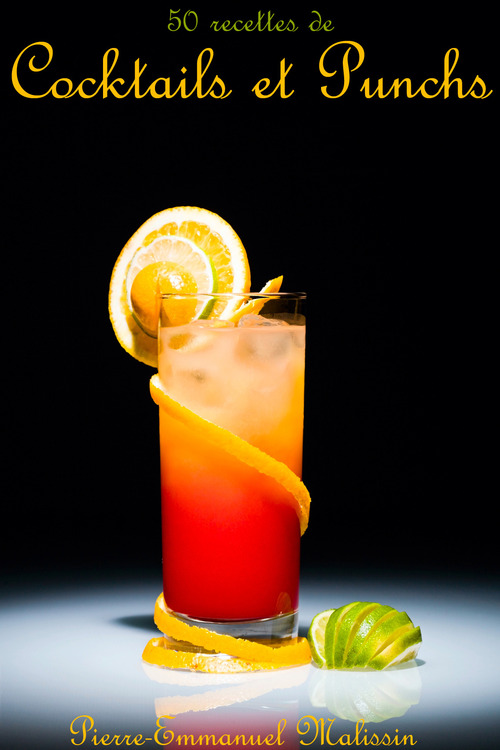 ebook cover of 50 recettes de cocktails et punchs, by Pierre-emmanuel Malissin