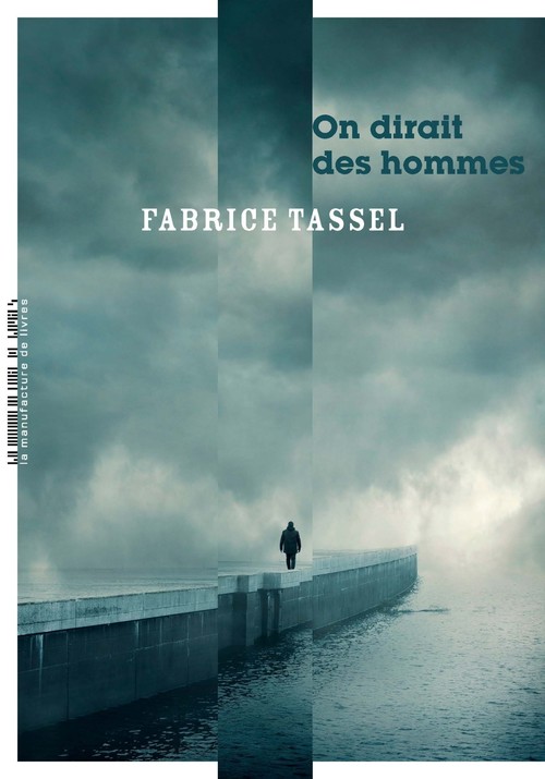 ebook cover of On dirait des hommes, by Fabrice Tassel