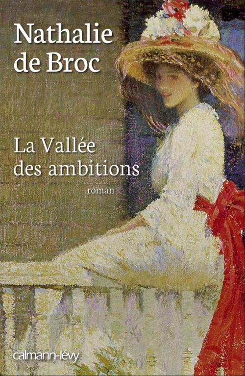 ebook cover of La Vallée des ambitions, by Nathalie de Broc