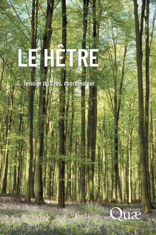 ebook cover of Le hêtre, by Eric Teissier du cros