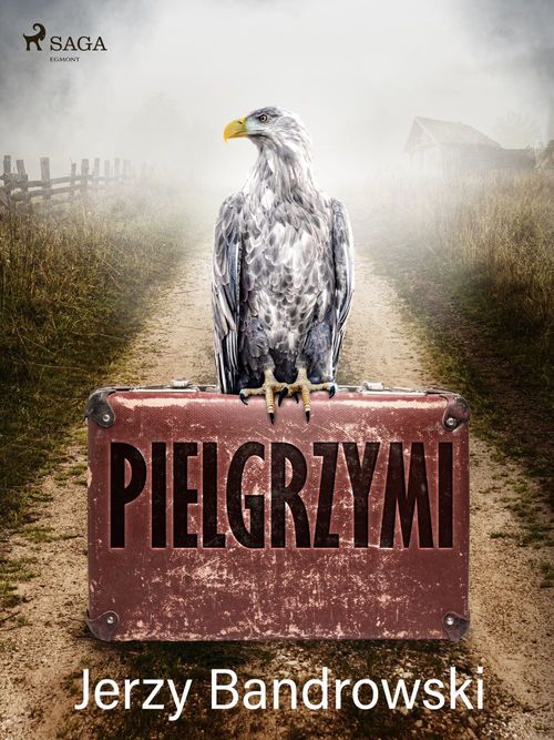 ebook cover of Pielgrzymi, by Jerzy Bandrowski