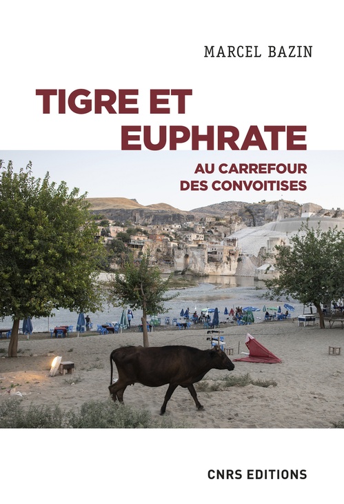 ebook cover of Tigre et Euphrate - Au carrefour des convoitises, by Marcel Bazin