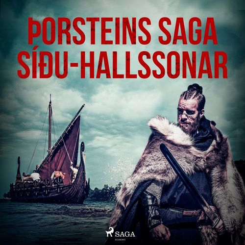 audiobook cover of Þorsteins saga Síðu-Hallssonar , by -  OþEkktur