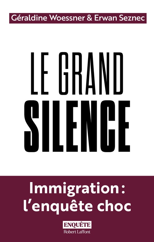 ebook cover of Le Grand silence, by Géraldine Woessner, Erwan Seznec