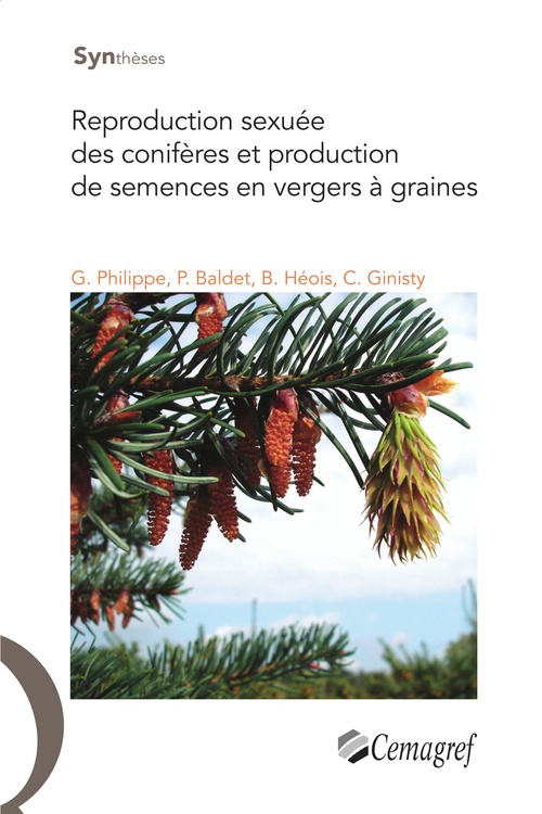 ebook cover of Reproduction sexuée des conifères et production de semences en vergers à graines, by Baldet P Philippe G