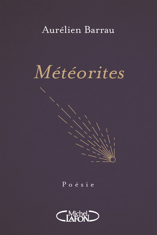 Couverture ebook de Météorites, de Aurélien Barrau
