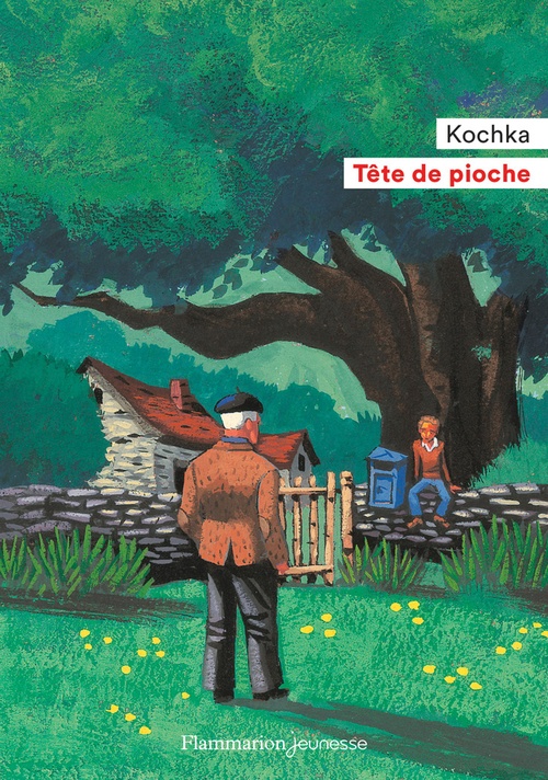 Couverture ebook de Tête de pioche, de Kochka