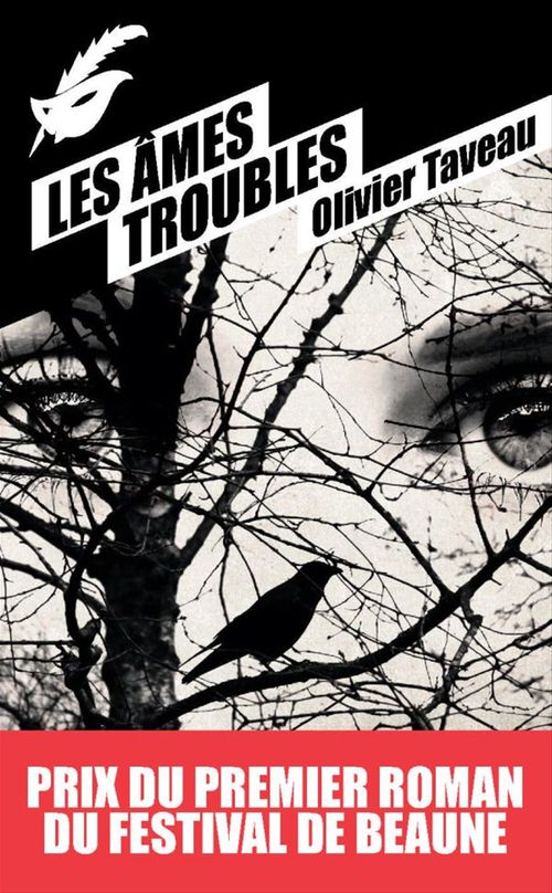Couverture ebook de Les Âmes troubles - Prix du premier roman du festival de Beaune 2015, de Olivier Taveau