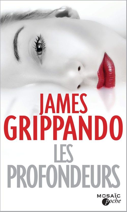ebook cover of Les profondeurs, by James Grippando