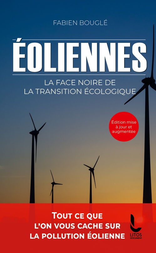 ebook cover of Eoliennes : la face noire de la transition écologique, by Fabien Bouglé